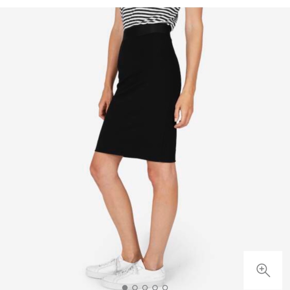 Everlane Pencil Skirt